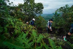 BIB: 
                            <button type="button" onclick="openModal(26196505)" class="btn btn-primary btn-sm float-right btn-popup" data-toggle="modal" data-target=".modal-high-quality">
                        <i class="fas fa-shopping-cart"></i> Add to Cart
                    </button>
                                            <button type="button" onclick="isThisMe(26196505, true)" class="btn btn-success btn-sm float-right btn-popup btn-isme hidden" data-toggle="tooltip" data-placement="bottom" title="นี่คือรูปของคุณใช่ไหม คลิกที่นี่เพื่อเอาเข้าอัลบั้ม">
                        <i class="fas fa-plus"></i> Add to album
                    </button>
                    <button type="button" onclick="isThisMe(26196505, false)" class="btn btn-warning btn-sm float-right btn-popup btn-isnotme hidden">
                        <i class="fas fa-ban"></i> Remove from album
                    </button>